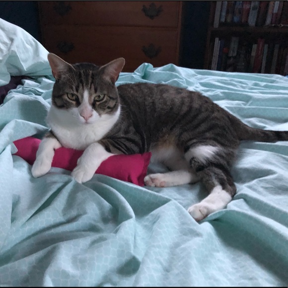 Meet your seller! ๐ด๐ด๐ด - Picture 6 of 6